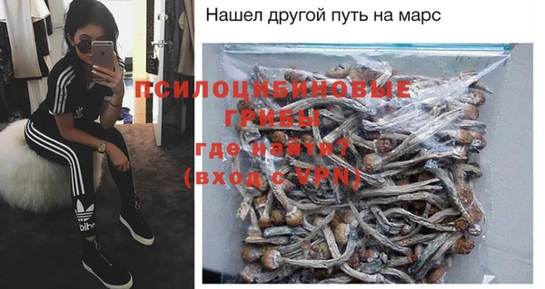 a pvp Абаза