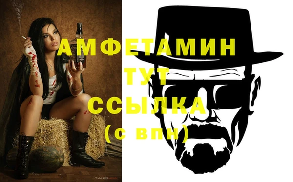 прущие грибы Алзамай